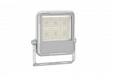 Прожектор светодиодный СДО FL 21 C 50W SHB 840 GR CL 254х239х38мм 50Вт 4000К IP66 уличный сер. Русский Свет 17082123349