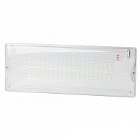 Светильник светодиодный DPA-301-1-65 IP65 40LED 3ч аварийный постоянный Эра Б0051843