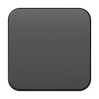 Переключатель 1-кл. ОП Blanca 10А IP20 (сх. 6) 250В с изолир. пластиной антрацит SchE BLNVA106016