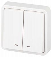 Выключатель Эксперт 11-1525-01 двойн. с подсветкой IP55 10АХ-250В СУ бел. Эра Б0063304