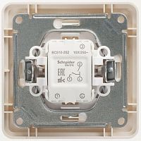 Выключатель 2-кл. СП W59 10А IP20 10AX в сборе сл. кость SchE VS510-252-28