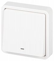 Выключатель Эксперт 11-1522-01 с подсветкой IP55 10АХ-250В СУ бел. Эра Б0063279
