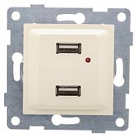 Розетка USB 2-м СП Ugra механизм беж. GUSI С11USB2-003