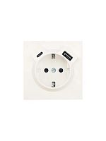 Розетка 1-мест. с/з Type-C+USB разъем СП ZIMA IP20 слон. кость LEZARD 704-9088-181TC